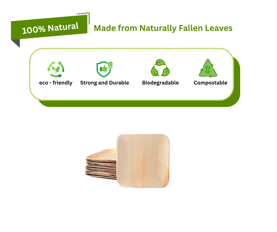 6″ Square Palm Leaf Plates