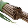 Coconut Palm Leaf Straws 210X8mm