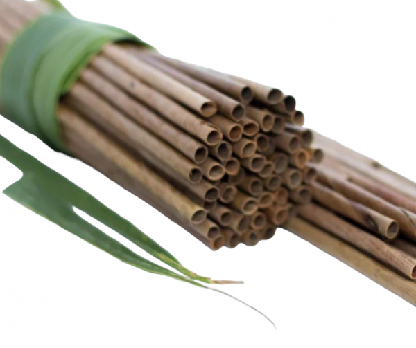 Coconut Palm Leaf Straws 210X8mm
